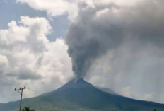 Gunung Lewotobi Laki-laki Erupsi Dua Kali, Kolom Abu Capai 400 Meter