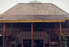 Mengenal Nuwo Sesat, Rumah Adat Lampung Penjaga Tradisi Mufakat