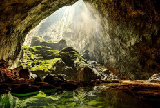 Son Doong, Goa Terbesar di Dunia yang Punya Hutan, Sungai, dan Awan di Dalamnya