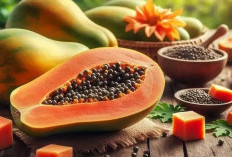 Manfaat Buah Pepaya bagi Kesehatan Tubuh