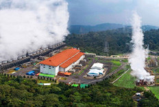 Panas Bumi Gunung Ungaran Mulai Dilirik sebagai Sumber Energi Rendah Emisi