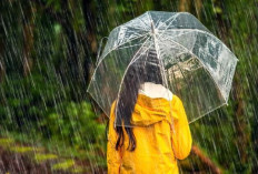 Hujan dan Kesehatan Tubuh, Apa Kaitannya?