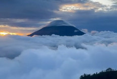 Pesona Dieng Wonosobo, Negeri di Atas Awan yang Selalu Memikat Wisatawan