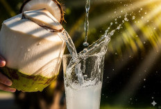 Air Kelapa di Tengah Tren Minuman Sehat, Apa Saja Manfaatnya bagi Tubuh?