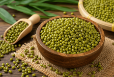 Kacang Hijau untuk Diet atau Bulking? Ini Penjelasan Ilmiah di Balik 'Kontradiksi' yang Sering Disalahpahami