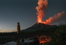 Semeru Erupsi Tiga Kali, Warga Diimbau Jauhi Zona Rawan hingga 13 Kilometer