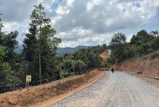 Laskar Lampung Kejar Kejelasan Panas Bumi Suoh-Sekincau, PPID ESDM Kirim Kabar Terbaru