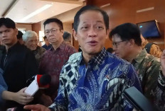 Atasi Karhutla Kalimantan, Wamenko Pangan Ajak Ratusan Pengusaha Turun Tangan