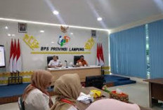 Pengangguran Lampung Turun Februari 2026, Penyerapan Tenaga Kerja Naik Meski TPAK Alami Penurunan