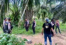 Polisi Bongkar Gubuk Diduga Tempat Pesta Sabu di Lampung Tengah, Pelaku Kabur