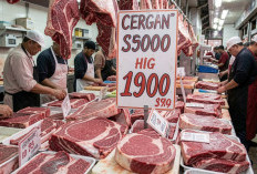 Harga Daging Sapi Tembus Rp150 Ribu per Kilogram, Tertinggi Sepanjang Sejarah