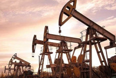 Harga Minyak Dunia Naik Imbas Perang Iran-Israel! Pemerintah Perlu Antisipasi Harga BBM Domestik