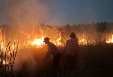 Brimob Datang, Kebakaran Karhutla TNWK Berhasil Dipadamkan