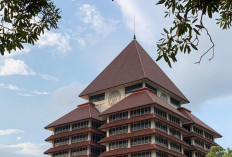 Tren Jurusan AI di Kampus Meningkat, Transformasi Kurikulum Jadi Tantangan 