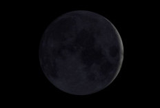 Akibat Perigee dan New Moon, Ini Daftar 18 Wilayah yang Berpotensi Banjir Rob hingga 22 Juli