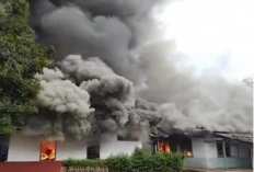 Kericuhan di PT BSA Lampung Tengah, Gudang dan Mess Karyawan Terbakar