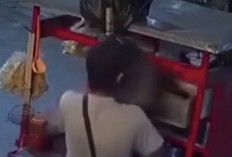 Cimi, Kucing Persia yang Diambil Pedagang Mi Ayam di Bekasi, Masih Belum Ditemukan