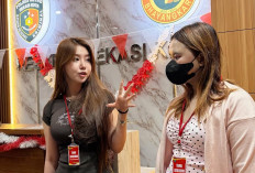 Dugaan Penggelapan Rp 1,2 Miliar Kreator Konten Vilmei, Diduga Melibatkan Karyawan dan 12 Akun TikTok