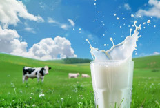 Fresh Milk vs Susu UHT: Mana yang Lebih Baik untuk Kesehatan Keluarga?