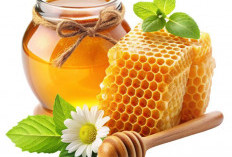 Jangan Sampai Tertipu! Ini 5 Cara Mudah Membedakan Madu Asli dan Madu Sirupan Biar Gak Rugi Bandar