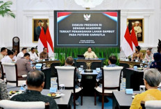 Presiden Prabowo Dorong Solusi Ilmiah untuk Cegah Kebakaran Lahan Gambut