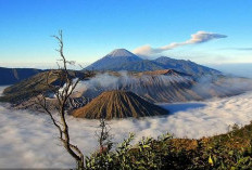 Gunung Bromo Kembali Dibuka, Wisatawan Bisa Berkunjung Mulai 20 Agustus 2026