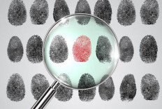 Sidik Jari & Suara, Identitas Alami yang Tidak Bisa Ditiru