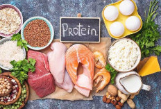 Pentingnya Protein Dalam Pembentukan Massa Otot