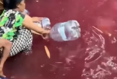  Heboh Air Kolam Berubah Merah di Bogor, Warga Berdatangan ke Lokasi