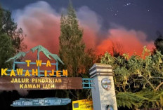 Kebakaran Hutan Meluas hingga Kawah Ijen, Jalur Pendakian Terancam Ditutup Sementara