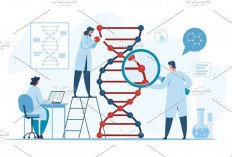 Analisis DNA Membantu Mendeteksi Risiko Penyakit Kronis Sejak Dini