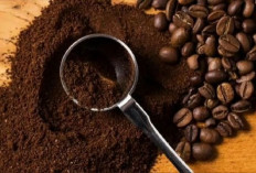 Pencinta Kopi Wajib Tahu! Ini 5 Trik Simpan Bubuk Kopi Lampung agar Aromanya Tetap Segar 