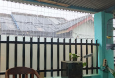 Hujan Lebat Berpotensi Guyur Lampung, BMKG Keluarkan Peringatan