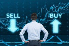 Niat jadi Naga malah jadi Cacing, Perhatikan Hal Berikut Sebelum Investasi Saham