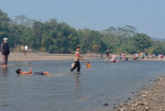 Surutnya Sungai Serayu Ubah Wadas Cinta Carik Srowot Jadi Wisata Dadakan, Warga Raup Rezeki