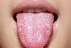 Tahukah Kamu? Mengunyah Lebih Lama Ternyata Bisa Bikin Makanan Terasa Lebih Manis