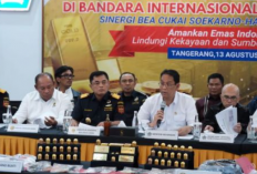 Emas Rp73,3 Miliar Nyaris Lolos, Bea Cukai Lakukan Penindakan