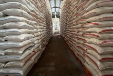 Ratusan Warga Tapteng Nekat Serbu & Menjarah Gudang Bulog Keputusasaan di Tengah Krisis Bantuan Paska Bencana