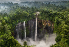 Serasa di Luar Negeri! Intip Pesona Tumpak Sewu, 'Niagara' Tersembunyi di Jawa Timur