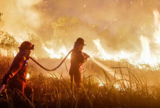 Bukan El Nino, Polri Sebut Mayoritas Karhutla Terjadi karena Sengaja Dibakar