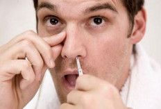 Bisa Picu Infeksi Otak! Ini 5 Bahaya Mencabut Bulu Hidung Secara Paksa yang Wajib Sobat Radar Ketahui
