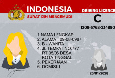 Langkah demi Langkah Cara Mengurus SIM Baru Tanpa Ribet 