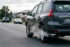 Mobil Diesel Keluar Asap Putih? Jangan Dianggap Sepele!