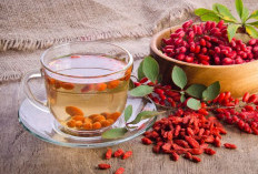 Mengenal Goji Berry: Superfood Merah dari Tradisi Herbal Tiongkok hingga Dunia Modern