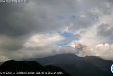 Gunung Lewotobi Laki-Laki Kembali Erupsi, Kolom Abu Mencapai 400 Meter