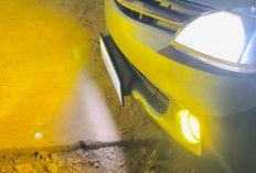 Sering Dianggap Sepele, Ini Peran Penting Fog Lamp Saat Hujan