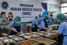 BGN Batasi Maksimal Enam Dapur MBG per Kecamatan, Investor Minta Kepastian Pembayaran Proyek  Isi Berita