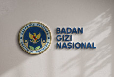 BGN Tutup Permanen 833 Dapur Makan Bergizi Gratis di Berbagai Daerah
