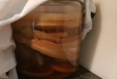 Jadi Tren Healthy Lifestyle, Berikut Manfaat Dari Kombucha