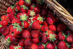 Kulit dan Rambut Bermasalah? Strawberry Bisa Jadi Pilihan Perawatan